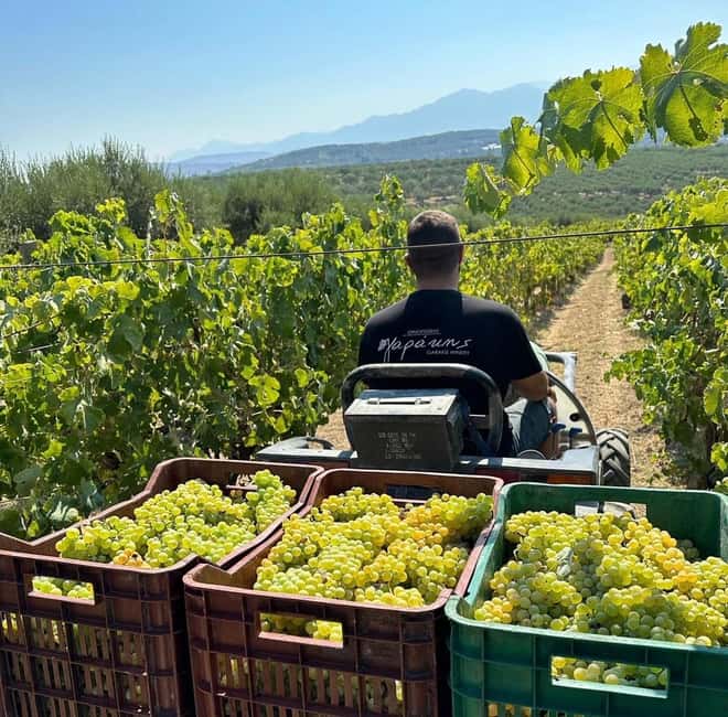 Soap, Wine, Raki, Olive Oil, Meet the local Producers Tour - Key points at a glance