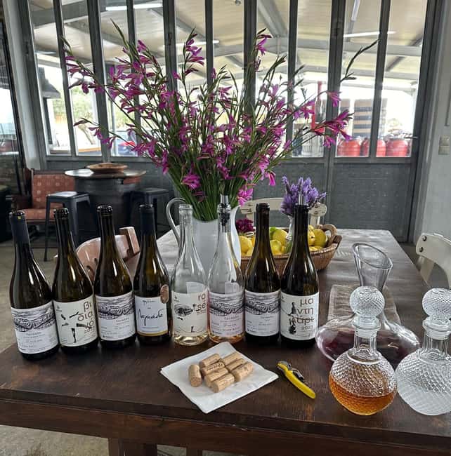 Soap, Wine, Raki, Olive Oil, Meet the local Producers Tour - Century-old olive trees and a useful oil lesson