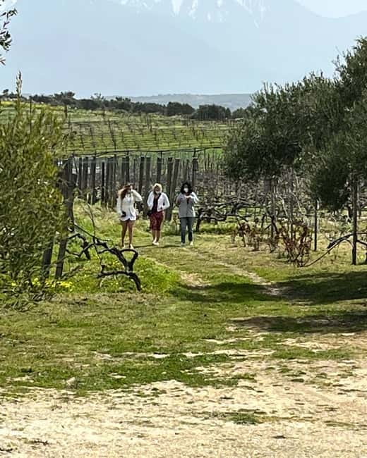 Soap Workshop, Olive Oil, Lyrarakis Winery and Lunch at Peza - Peza, Where the Day Becomes More Local