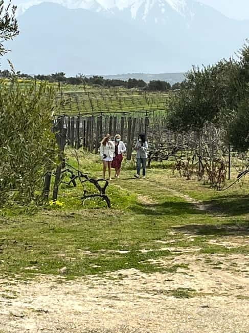 Soap Workshop, Olive Oil, Lyrarakis Winery and Lunch at Peza - Five Wines at Lyrarakis Winery