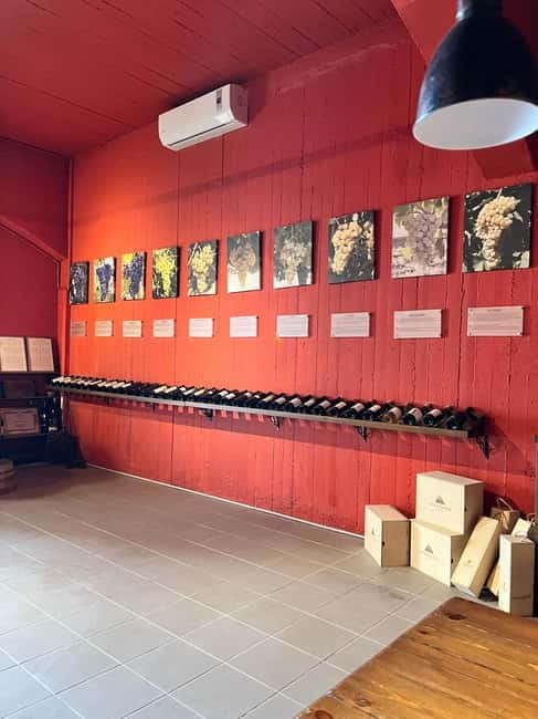 Soap Workshop, Olive Oil, Lyrarakis Winery and Lunch at Peza - Is the $212 Price Fair?