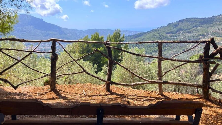 SOLLER: Olive Grove Experience, Oil Tasting & Picnic in the Tramuntana - Preparing a traditional Mallorcan dish