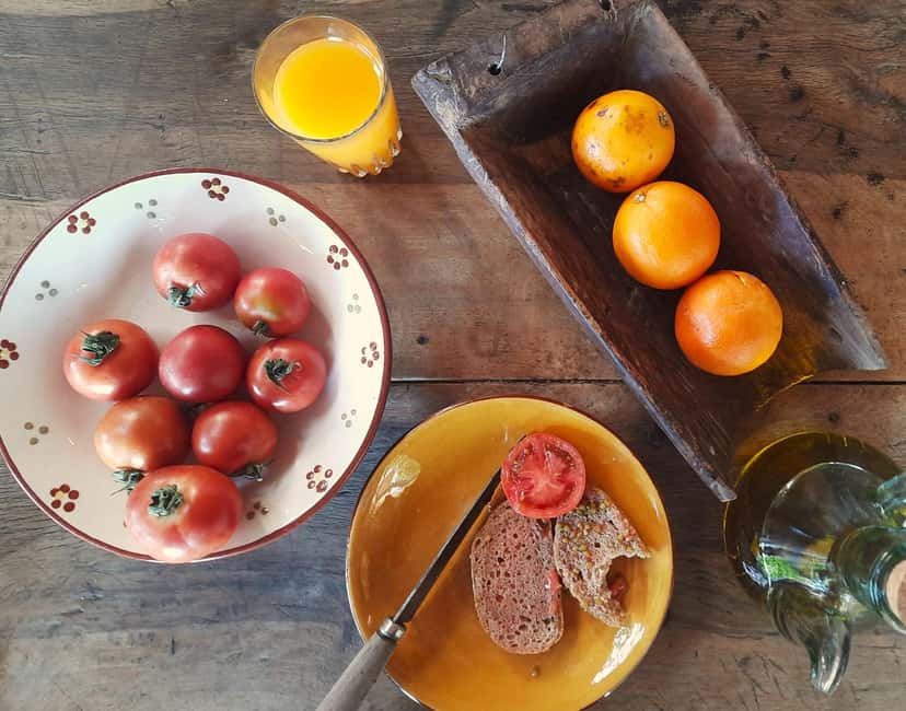 SOLLER: Olive Grove Experience, Oil Tasting & Picnic in the Tramuntana - A picnic with views across the Tramuntana