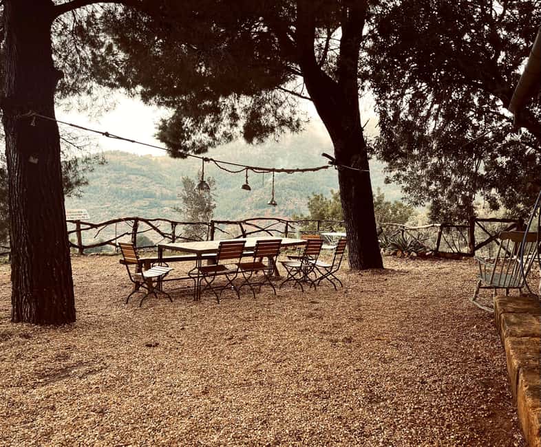 SOLLER: Olive Grove Experience, Oil Tasting & Picnic in the Tramuntana - Who will enjoy this farm visit?