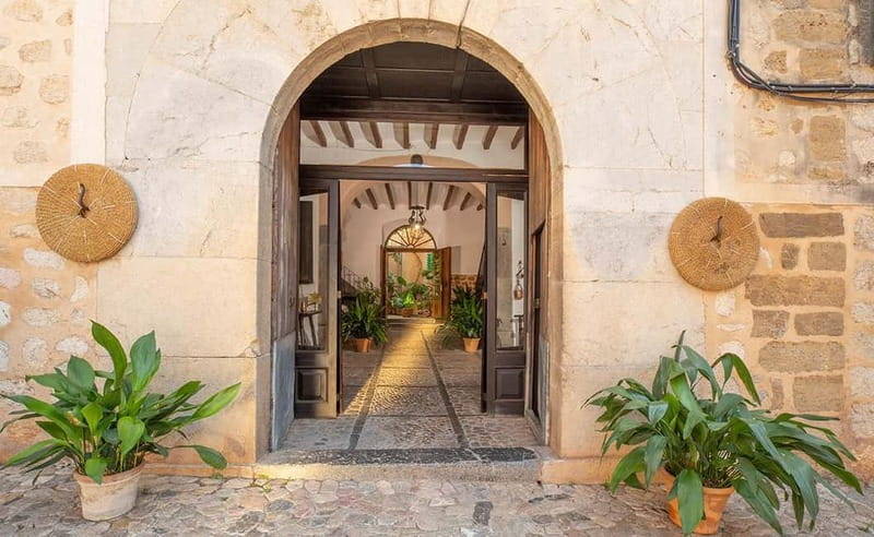 Sóller: Olive Oil Guided Tour and Tasting at Can Det Estate - Why this short Sóller tour is worth your time