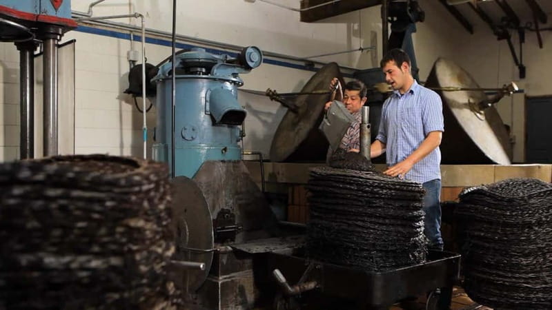 Sóller: Olive Oil Guided Tour and Tasting at Can Det Estate - Booking details and practical value