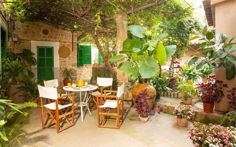 Sóller: Olive Oil Guided Tour and Tasting at Can Det Estate - Arriving at the 400-year-old Can Det house