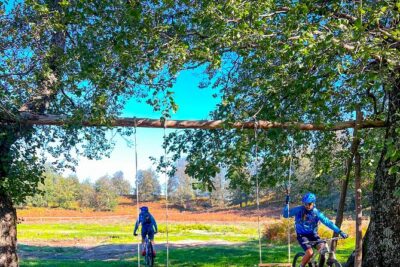 Sorrento e-bike adventure: olive oil and lemon tasting