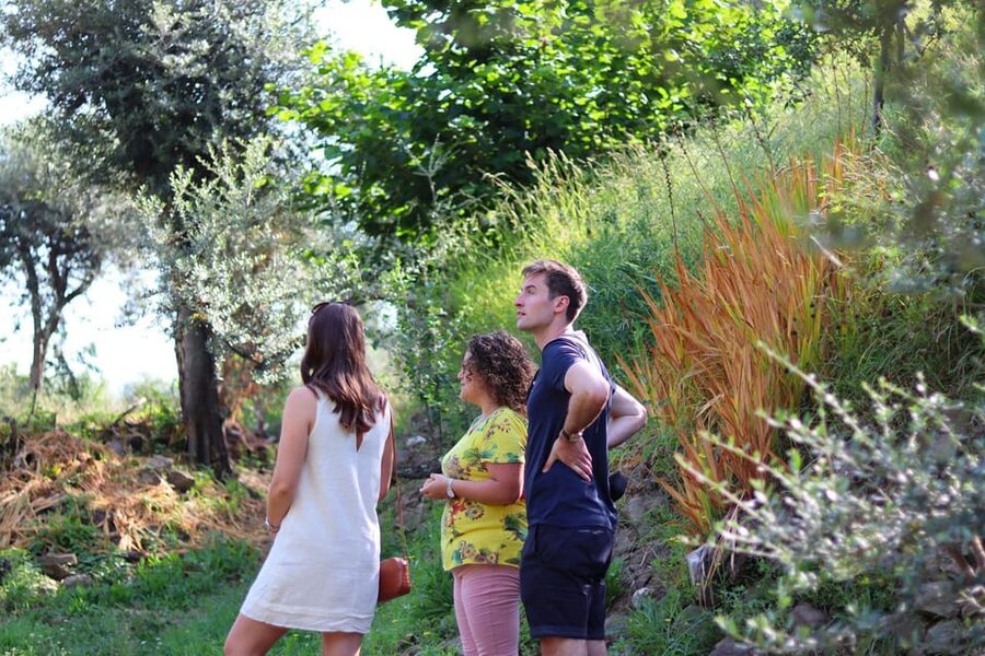 Sorrento: Guided Olive Mill Visit with Tastings - What the $50 price includes