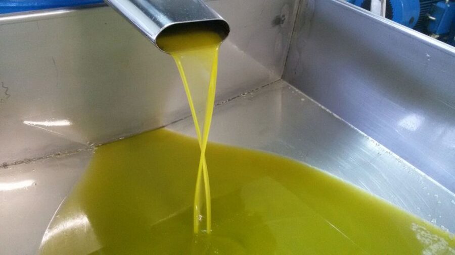 Sorrento: Lemon, Olive Oil and Wine Tasting Tour with Lunch - Why this Sorrento farm visit feels different