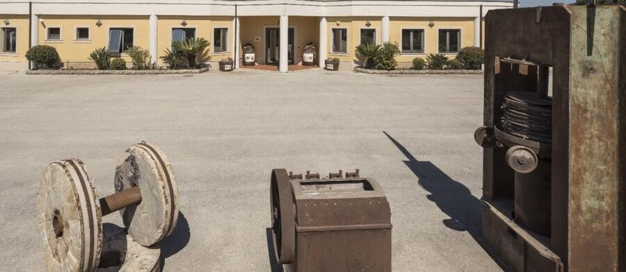 Sortino: Olive Oil tasting with Sicilian Products and Wine - Walking through the oil mill