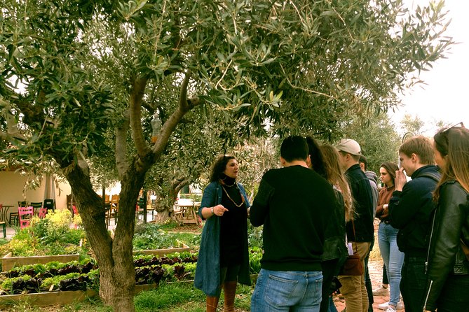 Sounion Highlights: Vouliagmeni, Olive Farm, Poseidon Temple, Thorikos Theatre - The organic farm and farm-to-fork lunch