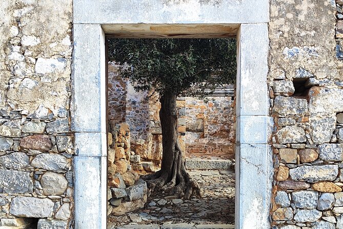 Spinalonga, Plaka, Elounda, Agios Nikolaos & Olive Mill | Private - Starting with Crete’s olive oil at Vassilakis Estate