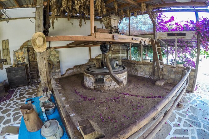 Spiridi Olive Oil Farm Tour - What You See Inside the Olive Oil Museum