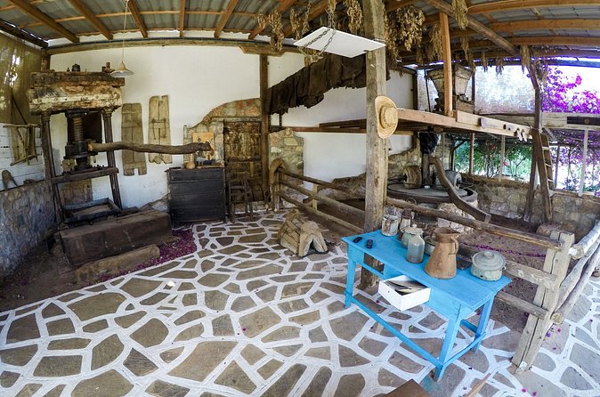 Spiridi Olive Oil Farm Tour - Workshops Add a Different Kind of Visit