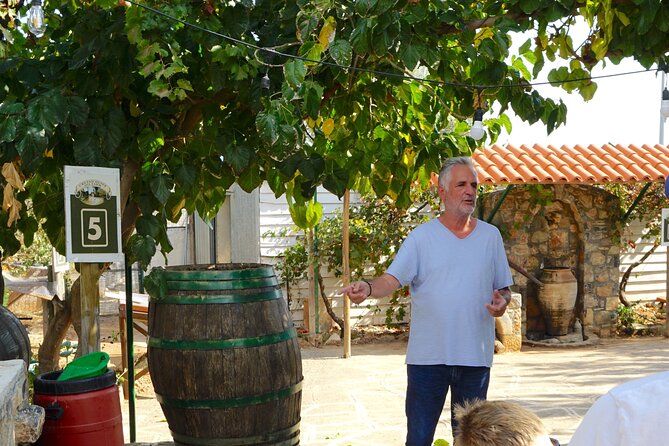 Spiridi Olive Oil Farm Tour - Why the Self-Guided Format Works