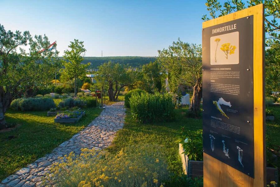 Split: Olive museum Klis with Olive Oil Tasting - Inside the Family Workshop