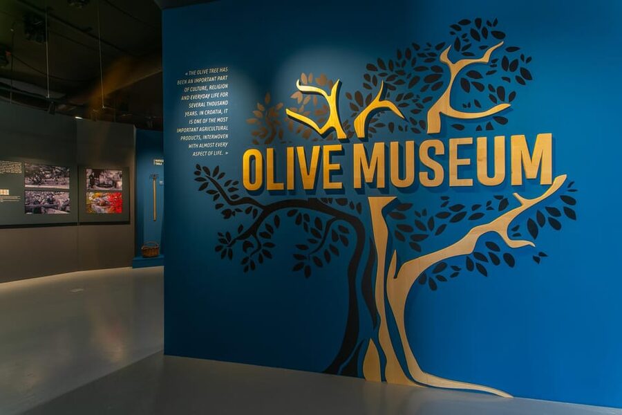 Split: Olive museum Klis with Olive Oil Tasting - How Much Value You Get for $18