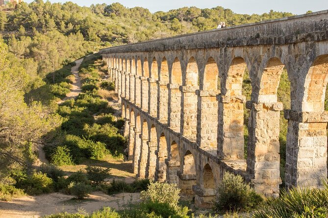 Tarragona Culinary Experience: Olive Oil & Iberian Ham Delight - A guide who can adjust the day