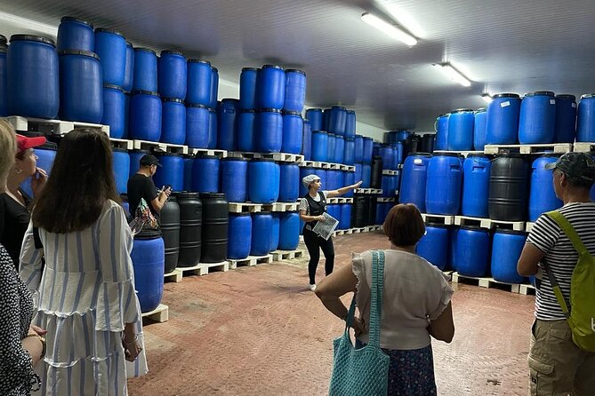 Tavira Olive Experience Factory Tour and Tasting - Why the machinery may be quiet