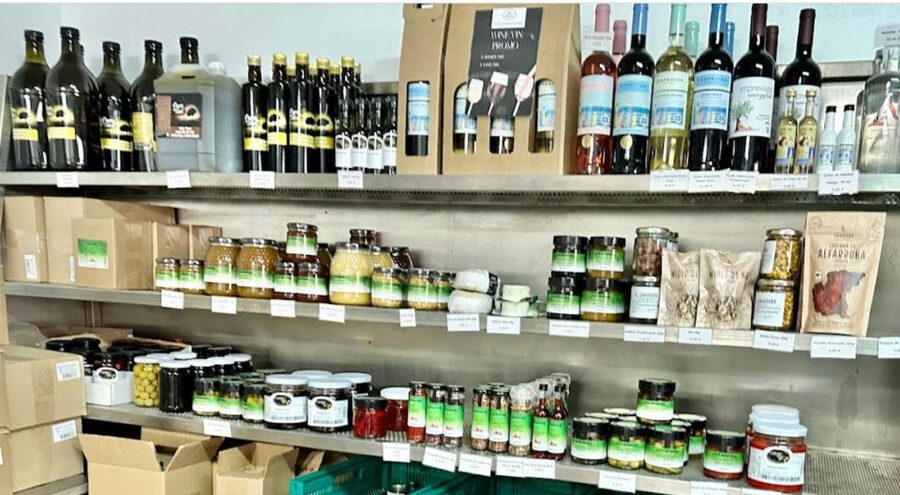 Tavira: Olive Factory Tour and Tasting - Andrea’s presentation makes the process easy to follow