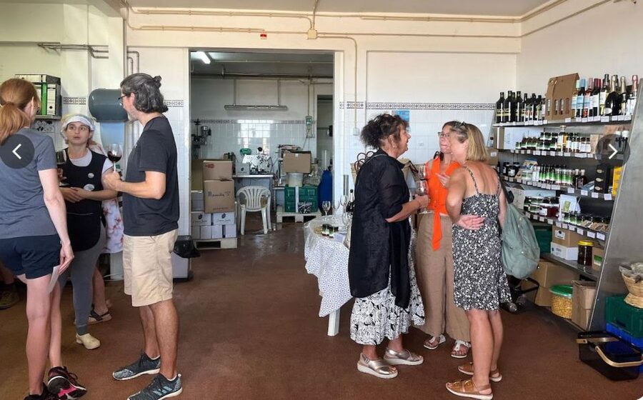 Tavira: Olive Factory Tour and Tasting - Shopping for Algarve products after the tasting