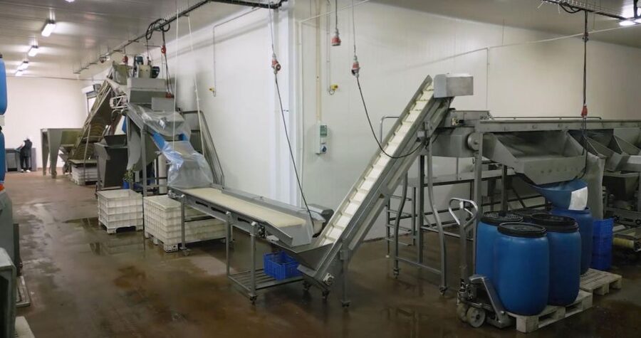 Tavira: Olive Factory Tour and Tasting - Who will enjoy this most?