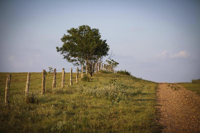 Texas Hill Country Olive Oil and Balsamic Vinegar Tasting - Key points to know before you go