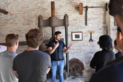 The Governor’s Olive Mill Tour with Olive Oil Tasting