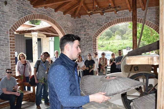 The Governor's Olive Mill Tour with Olive Oil Tasting - Group size, timing, and comfort