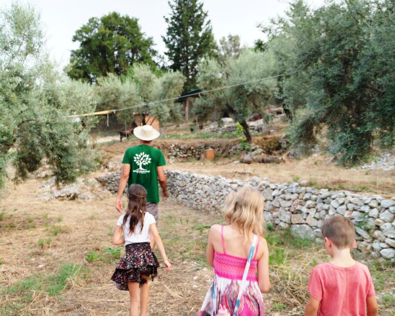 The Olive Oil Experience @ Lefkada Micro Farm - Booking details worth knowing