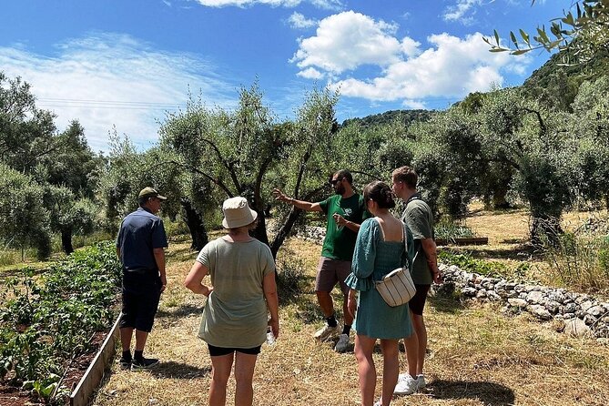 The Olive Oil Experience @ Lefkada Micro Farm - The tasting: learning what quality feels like