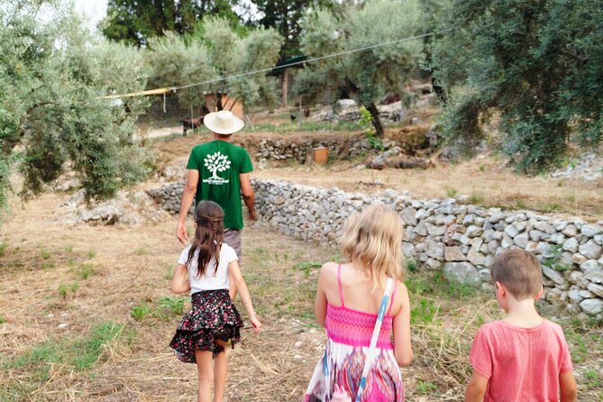 The Olive Oil Experience @ Lefkada Micro Farm - The Olive Oil ABC you can use at home