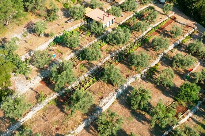 The Olive Oil Experience @ Lefkada Micro Farm - Who should book this experience
