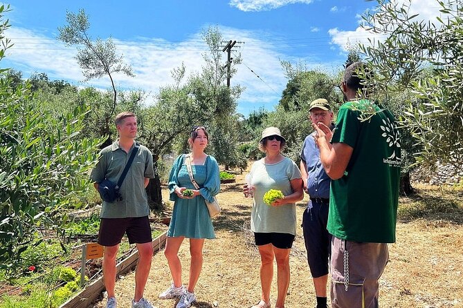 The Olive Oil Experience @ Lefkada Micro Farm - Walking among Lefkada’s olive trees