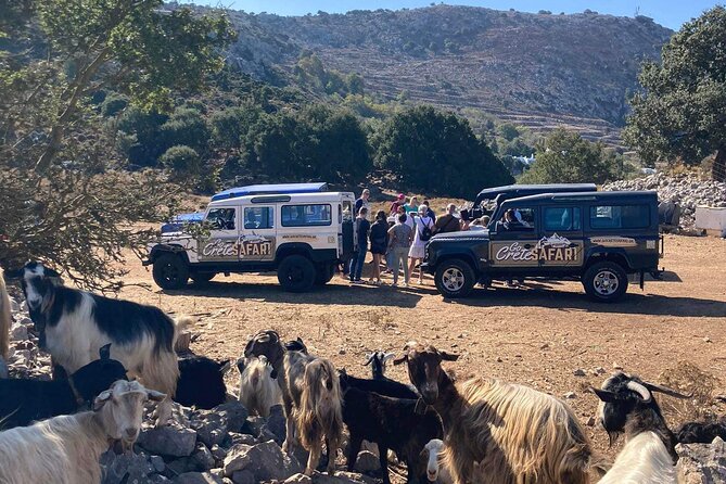 The Roads Of Wine Olive Oil And Cretan Tradition in Malia - Riding the Rural Roads in a Private Jeep