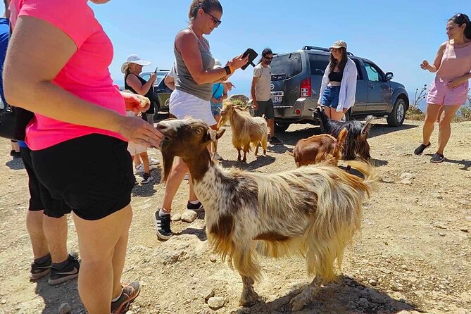 The Roads Of Wine Olive Oil And Cretan Tradition in Malia - The Guides and the Feel of a Private Group