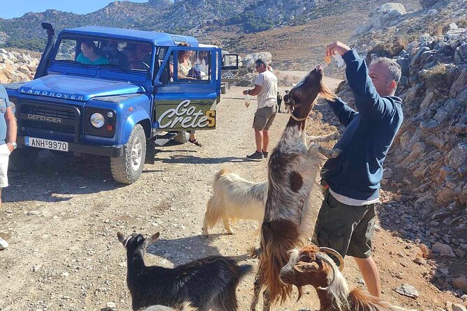 The Roads Of Wine Olive Oil And Cretan Tradition in Malia - Learning What Makes Cretan Olive Oil Special