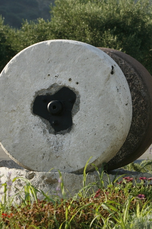 The Terra Creta Olive Oil Experience Tour - Is $11 good value?