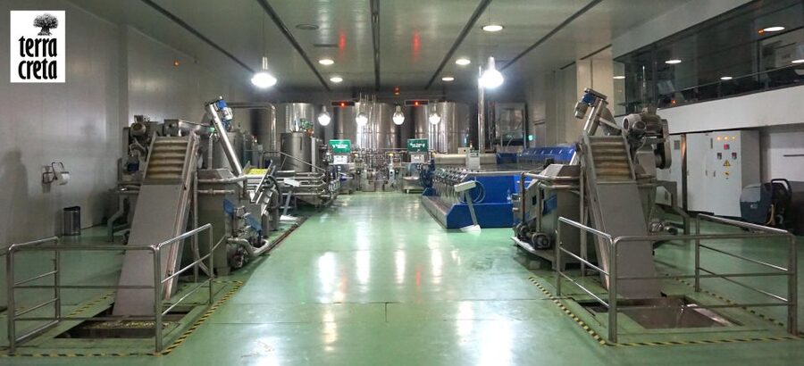The Terra Creta Olive Oil Experience Tour - A shop with useful souvenirs, not just trinkets