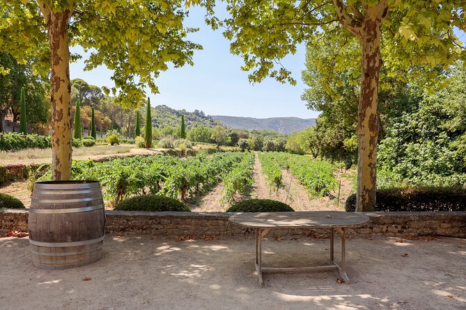 The wines of the Luberon, the Château de Lourmarin & Bastide du Laval olive oil - Bastide du Laval and the olive oil lesson