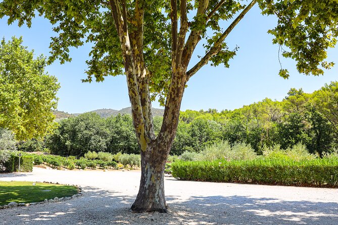 The wines of the Luberon, the Château de Lourmarin & Bastide du Laval olive oil - What the private vehicle adds