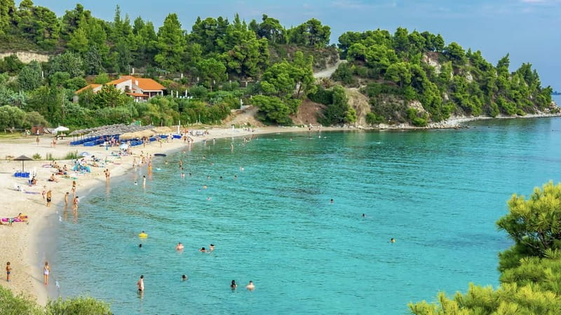 Thessaloniki: Halkidiki/Sithonia Swim, Sunset & Olive Tour - Key points to know before you book