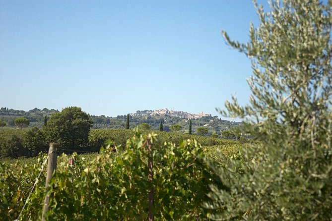 Think of a romantic meal in the Olive Trees shade, accompanied by Tuscan wines! - Key points to know before booking