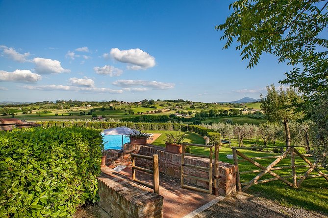 Think of a romantic meal in the Olive Trees shade, accompanied by Tuscan wines! - The romance depends on timing and weather