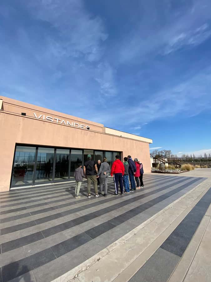 Tour of 3 wineries in Maipú with lunch + olive groves - Three wineries, one full day in Maipú