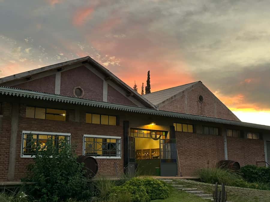 Tour of 3 wineries in Maipú with lunch + olive groves - Starting from Mendoza’s city center
