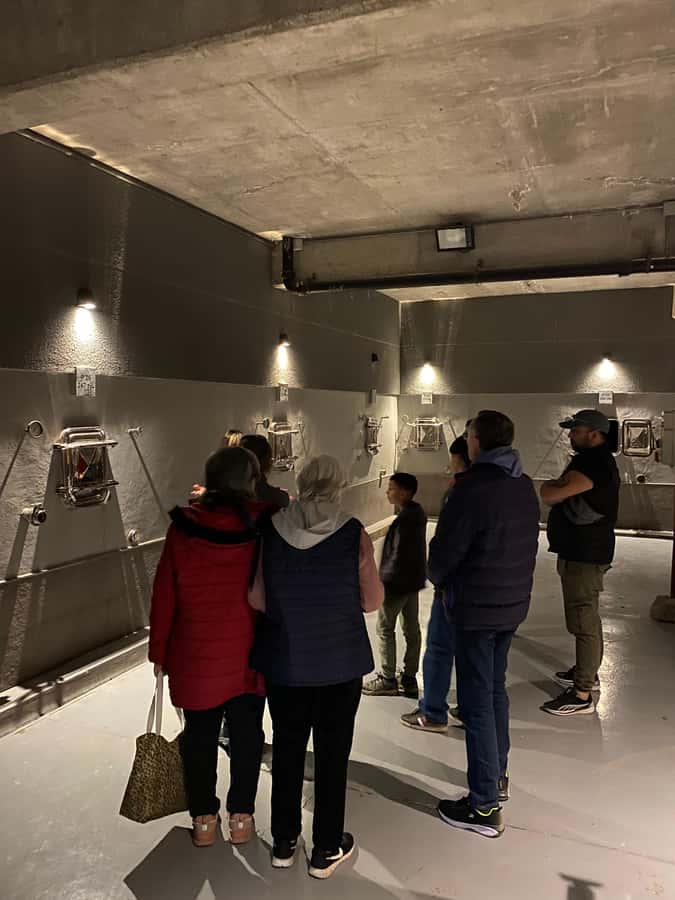 Tour of 3 wineries in Maipú with lunch + olive groves - Esencia 1870 and the two-hour lunch stop