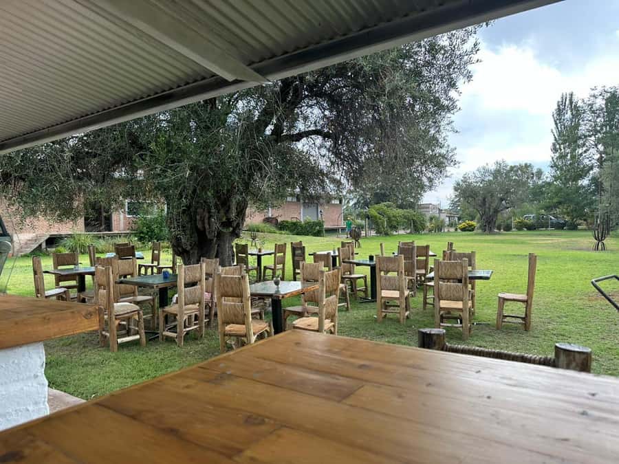 Tour of 3 wineries in Maipú with lunch + olive groves - What $120 buys you