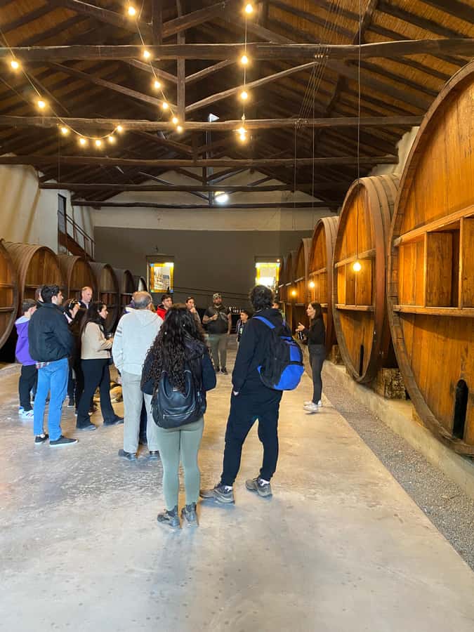 Tour of 3 wineries in Maipú with lunch + olive groves - Transport comfort and the shared-tour question